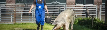 Livar boer op kloosterboerderij